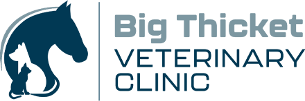 Big Thicket Veterinary Clinic